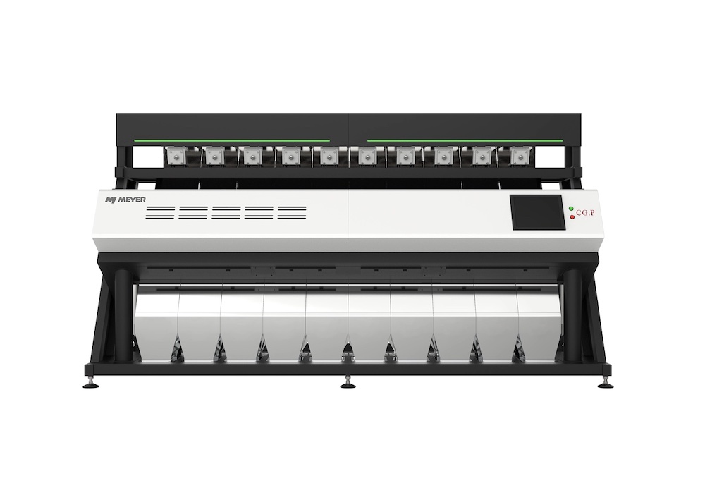 CG 10 P